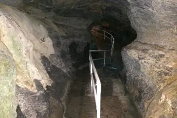 Gallery image