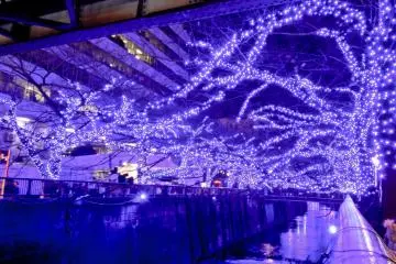 <p>Passing under the bridge below Naka-Meguro Station</p>