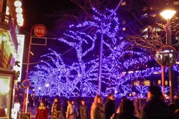 <p>The neon lights of the restaurants trying to complete with the blue glow emanating from over 400,000 LED&rsquo;s</p>