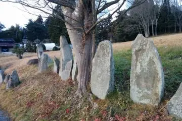 <p>Historical markers dug up from archeological&nbsp;digs are on display in the open</p>