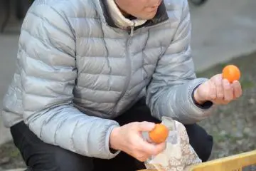 นอกจากชาแล้วยังมีผลไม้ที่ปลูกเองในไร่ชา
