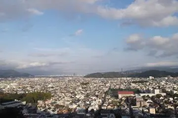 <p>신사 뒤 언덕에서 내려다 보이는 도시의 풍경</p>