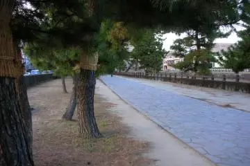 Nikko Kaido near Soka