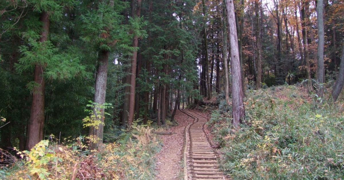 Hiking Mount Tonosu (271m) - Saitama - Japan Travel