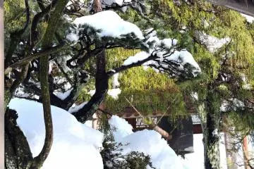 <p>Pepohonan tertutup salju dalam taman dengan lonceng tergantung di latar belakang</p>
