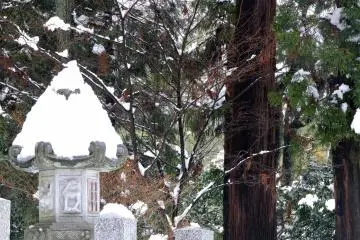 <p>Stone lantern looks freezing</p>