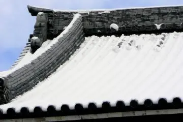 <p>I wonder how many snowfalls these ancient tiles have seen!</p>