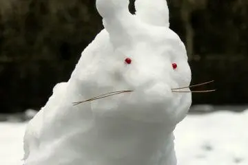 <p>I like snow bunnies better than snowmen!</p>