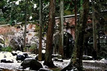 <p>The aqueduct glimpsed through the trees</p>
