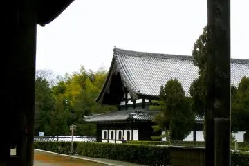<p>A little snow still rested in the hollows between the roof tiles</p>