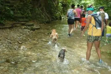 Start of the river trek