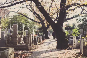 Strolling through Yanaka Cemetary; a peaceful trail lined with intricately decorated tombstones of locals of the past.