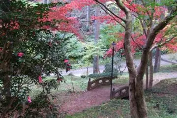 <p>Saitama's scenic mountains &nbsp;</p>