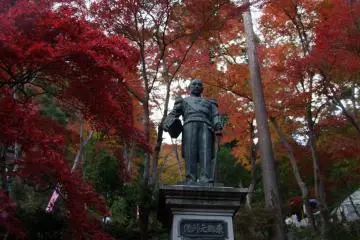 <p>Standing tall and proud</p>