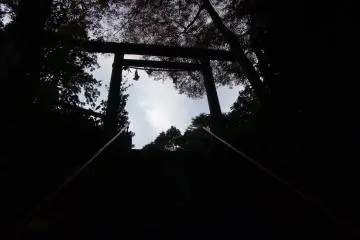 <p>Atop the mountain</p>
