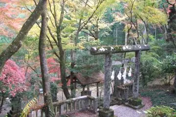 <p>Japanese beauty &nbsp;</p>