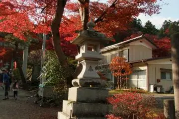 Brilliant colors