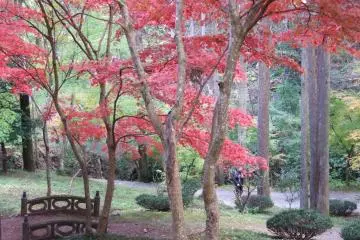 Japanese style &nbsp;