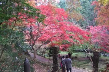 November is the best time of year &nbsp;