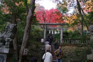 Walking through the fall colors