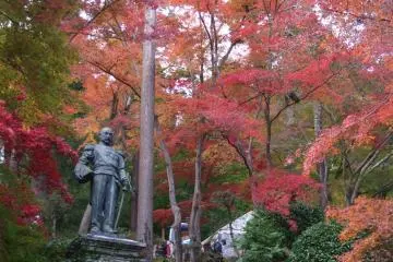 Accented by the colors