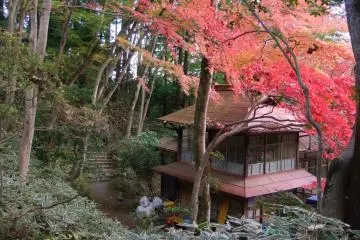 A place I'd like to live