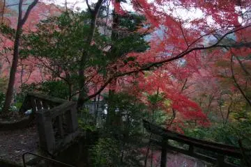 The beauty of Togo Park