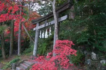 Picturesque in the fall