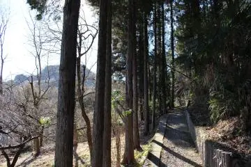 <p>Naik ke puncak</p>