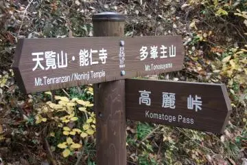 <p>Pointing the right way</p>