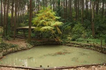 <p>Turn right at the pond</p>
