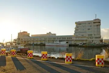 <p>Misaski Port has one of the largest catches in Japan. Daily tuna auctions are held daily at 7am.</p>