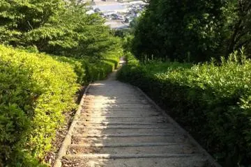 The footpath up