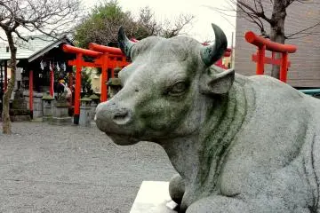 <p>Ox statue with a small Inari shrine in the background</p>