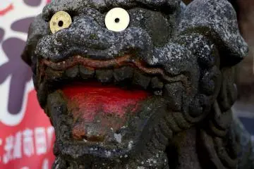 <p>Luck 5 yen coins on the eyes of this guardian koma-inu statue</p>