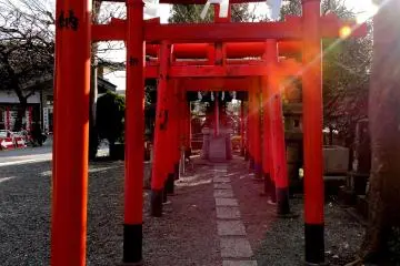 <p>These tori lead to a small Inari shrine</p>