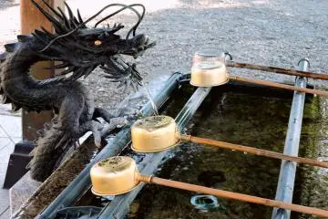 <p>Dragon and water basin</p>