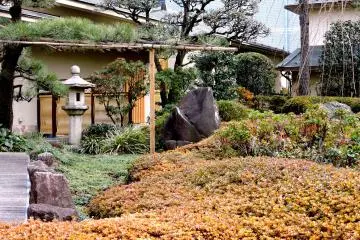 <p>The garden in its winter state</p>
