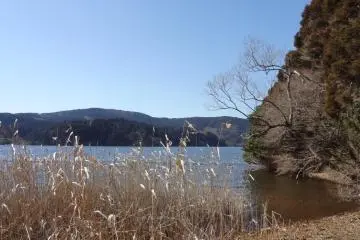 View of the lake from Onshi Hakone Koen Park.