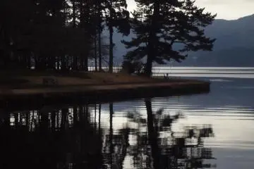 No sound, no wind. 