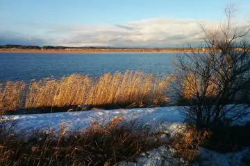 <p>A view of one of the lakes&nbsp;</p>