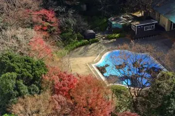 <p>Hotel pool and brilliant autumn leaves at the end of the year! There are other bigger pools in the hotel, too.</p>