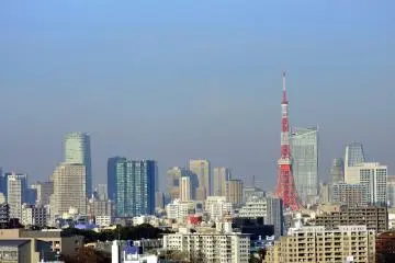 <p>Rooms on the higher level floors have great view of the city, which of course&nbsp;includes Tokyo Tower!</p>