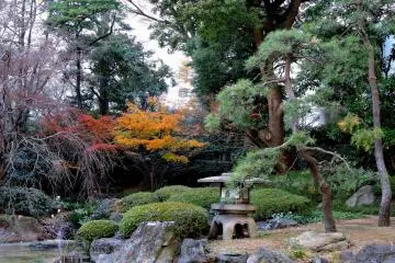 <p>Stone lantern, pine trees and colored leaves in the garden</p>
