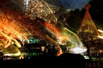 <p>Flying fireballs? inside the illuminated garden</p>