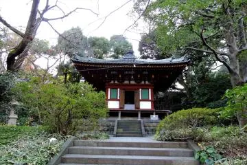 Gallery image