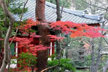 <p>Looking at Kannon Hall through red leaves</p>