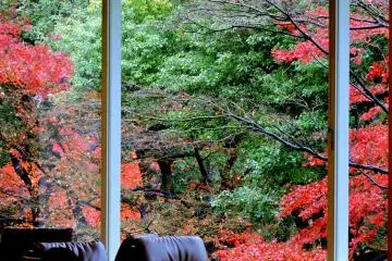 <p>Sitting in a comfortable sofa sipping a warm tea while appreciating beautiful colors in the garden...the perfect way to relax in the busy city center!</p>