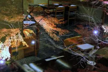 Illuminated Japanese Garden seen from my seat. The interior of the restaurant is reflected on the window.