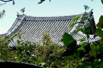 <p>Phoenixes grace both ends of the roof ridge</p>